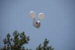 3 Negara yang Pernah Mengirim Balon Udara Teror