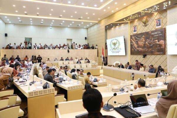 Pemulihan Pascabencana, Menteri PANRB Perkuat Tata Kelola Pemerintahan dan Pelayanan Publik