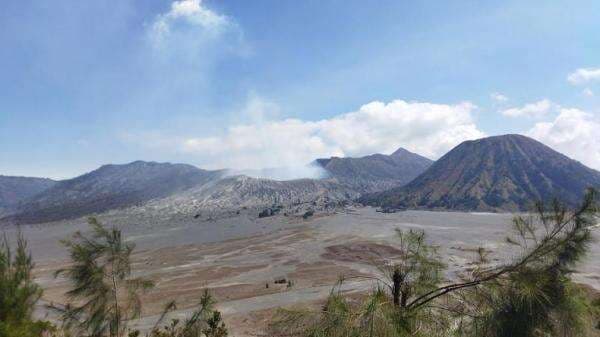 3 Jalur Alternatif ke Pasuruan Terbaru, Cocok untuk Liburan ke Bromo Tanpa Macet