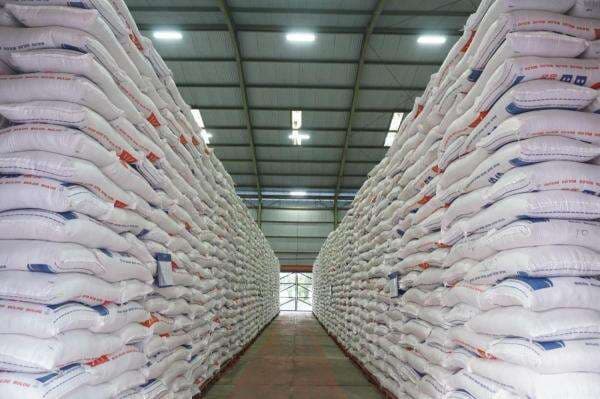 Mentan Proyeksikan Stok Cadangan Beras Pemerintah Capai 3,3 Juta Ton di Awal 2026