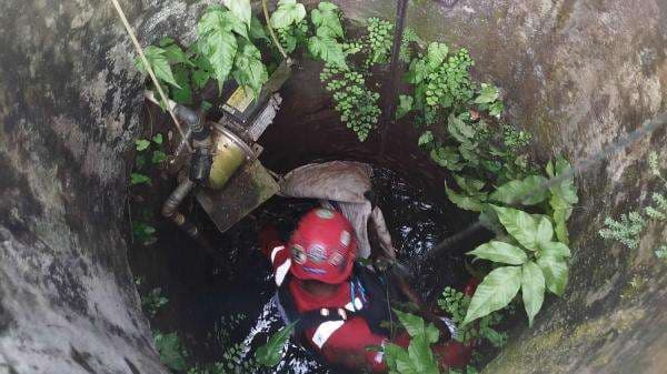 Kucing Oranye Ditemukan Sudah Membusuk di dalam Sumur Warga, Damkar Ciamis Lakukan Evakuasi