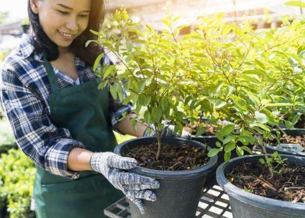 Kebiasaan Ringan Ini Bisa Bikin Panjang Umur, Cukup Lakukan di Rumah