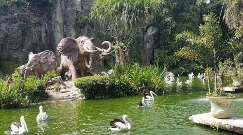 Pengunjung Ragunan Tembus 113 Ribu Orang pada Liburan Tahun Baru 2026