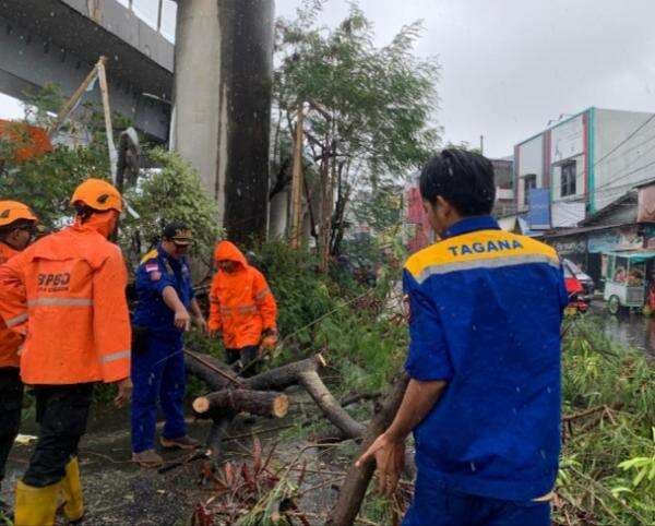 Pasca Cuaca Ekstrem Terakhir di Kota Cilegon, lni Kata Koordinator Taruna Siaga Bencana