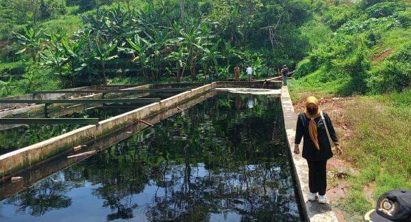 Komisi III DPRD Sidak Kolam IPAL DLH di TPA Ciangir, Pemukiman Warga Terdampak Limbah