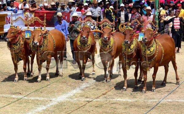 Kemenpar dan DPR RI Dorong Pariwisata Baru, Gili Labak dan Sapi Sonok Bidik Pasar Internasional