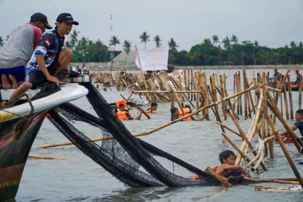 Pagar Laut Misterius Muncul di Serang Banten, KKP Sigap Tanggapi Laporan