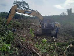 Polda Riau Bekuk Pelaku Perambahan Taman Nasional Tesso Nilo