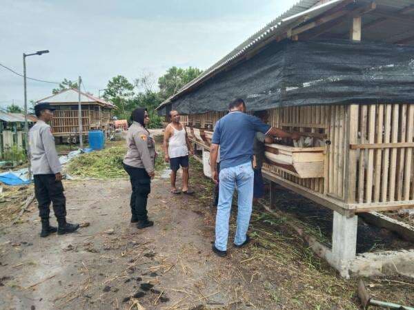 Dukung Ketahanan Pangan, Kapolsek Pahandut Tinjau Langsung Kebun dan Ternak Warga Petuk Katimpun Dukung Ketahanan Pangan, Kapolsek Pahandut Tinjau Langsung Kebun dan Ternak Warga Petuk Katimpun
