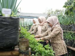 IFAD Tinjau Program UPLAND di Garut, Pastikan Tingkatkan Produktivitas dan Kesejahteraan Petani