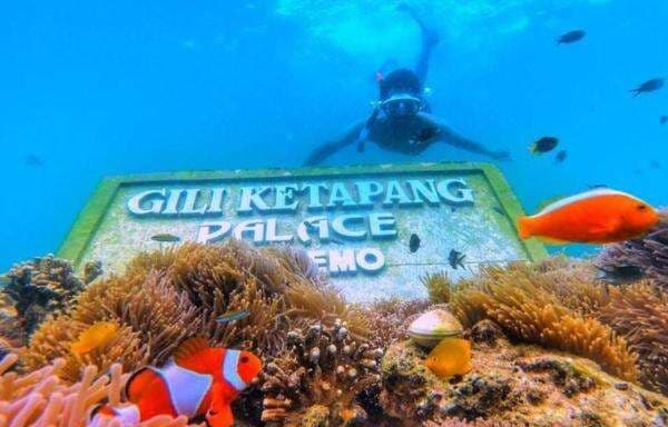 Desa Unik di Probolinggo Jatim, Bebas Maling, Pesona Bawah Laut hingga Jejak Wali