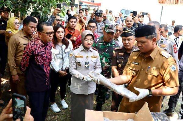 Gurita Beku Bantaeng Berhasil Tembus Pasar Mexico Untuk Pertama Kalinya Gurita Beku Bantaeng Berhasil Tembus Pasar Mexico Untuk Pertama Kalinya