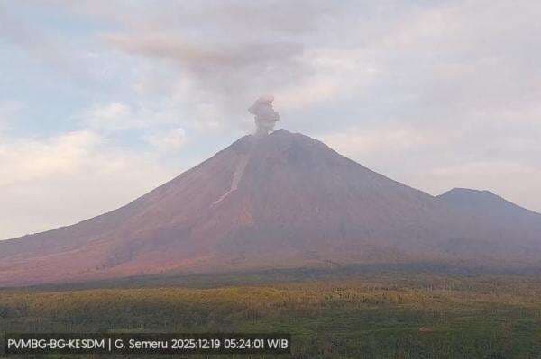 Gunung Semeru Erupsi Belasan Kali Hari Ini, Kolom Abu Capai 1.000 Meter