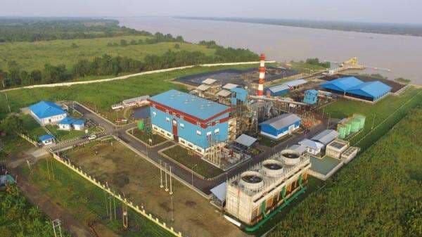 Bioenergi, RI Hasilkan Listrik Hijau dari PLTU Cofiring Biomassa