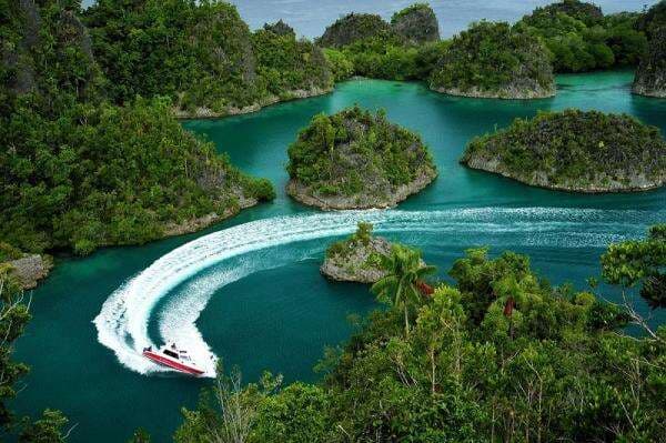 Pilihan Paket Liburan ke Raja Ampat bersama Phinisea