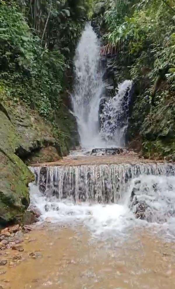 Wisata di Rimba MKK Cisangku Kabupaten Bogor, Sumpah Keren Banget Buat Tahun Baruan Bareng Keluarga