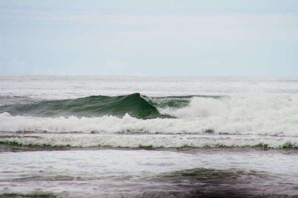 Cuaca Ekstrem, Pelayaran Wisata Labuan Bajo Dihentikan hingga 15 Januari