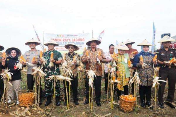 Panen Raya Jagung di Grobogan, Pj Gubernur Jateng Minta Dijadikan Motivasi Swasembada Pangan