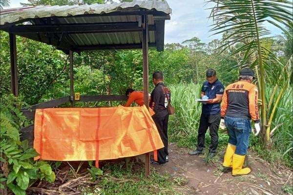 Temuan Mayat Wanita Setengah Telanjang di Gubuk Tengah Sawah di Malang, Ada Luka di Wajah