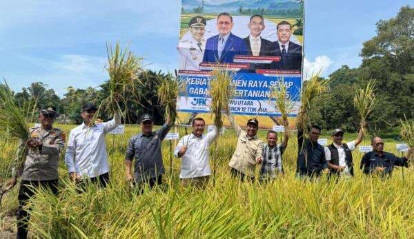 Panen Raya JFK Pertanian Capai 12 Ton per Hektare, Bulog Serap Gabah Rp6.500 per Kg