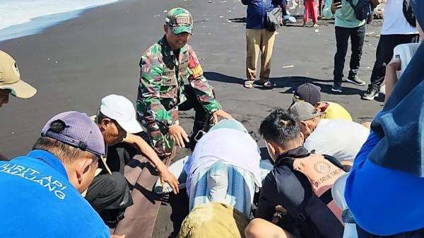 Simulasi dan Bimtek Penanganan Mamalia Laut Terdampar di Pantai Wotgalih Lumajang Simulasi dan Bimtek Penanganan Mamalia Laut Terdampar di Pantai Wotgalih Lumajang