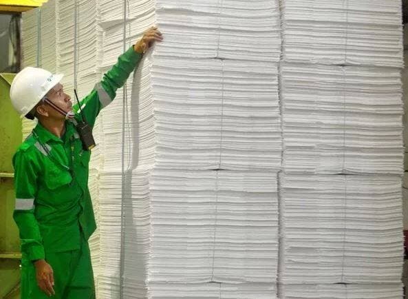 Prabowo Cabut Izin Toba Pulp (INRU) Imbas Langgar Pemanfaatan Lahan Hutan, Ini Respons Manajemen