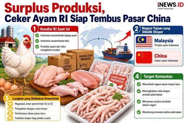 Surplus Produksi, Ceker Ayam RI Siap Diekspor ke China