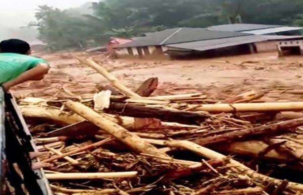 Warganya Pakai Kayu Gelondongan Bangun Hunian, Bupati Aceh Tamiang Minta Payung Hukum ke Menhut