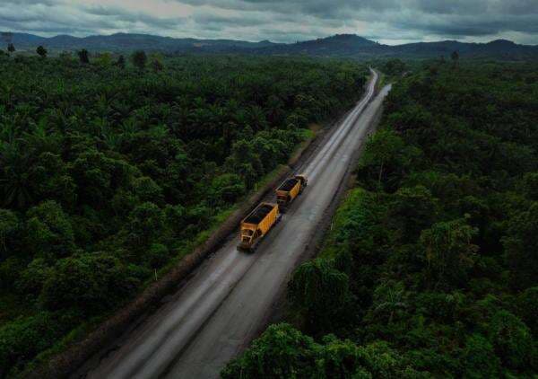 Saham Indika Energy (INDY) Melesat, Simak Katalis dan Targetnya