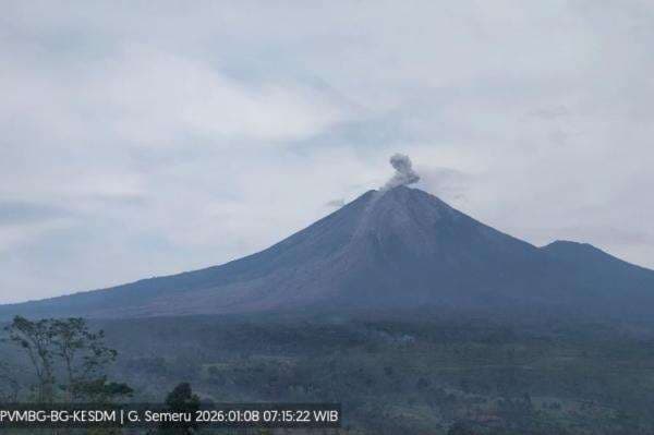 Gunung Semeru Erupsi Hari Ini, Kolom Abu Setinggi 700 Meter