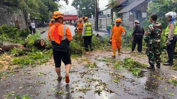 Pohon Besar di Taman Kota Tasikmalaya Tumbang Melintang di Jalan Pemuda