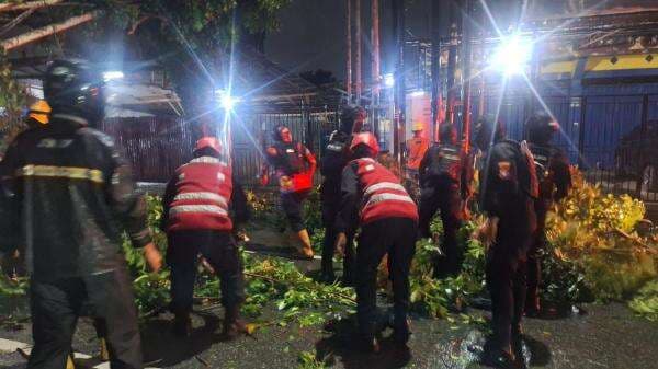 Tutup Akses Jalan, Brimob Polda Kaltim Evakuasi Pohon Tumbang di Gunung Samarinda