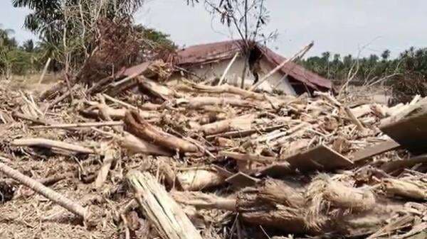 Kemenhut Tegaskan Kayu Hanyut Terbawa Banjir Sumatra Boleh Dipakai Warga