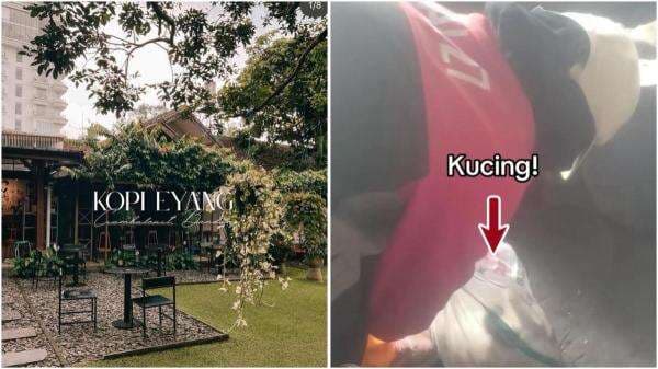 Kronologi Lengkap Kopi Eyang Bungkus Kucing dalam Karung dan Buang ke Tong Sampah, Endingnya Minta Maaf!