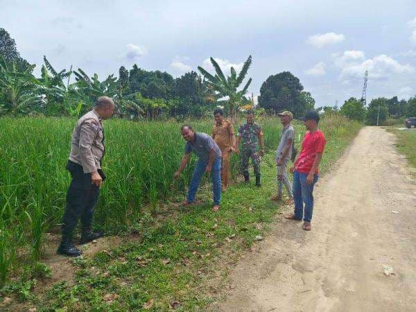 Polsek Bina Widiya Koordinasi ke Petani Terkait Ketahanan Pangan