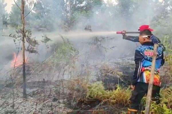 Kebakaran Lahan Gambut di Palangka Raya, Petugas Berjibaku Padamkan Api selama 2 Hari