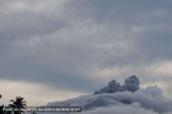 Gunung Ibu Erupsi Hari Ini, Kolom Abu Capai Setinggi 300 Meter