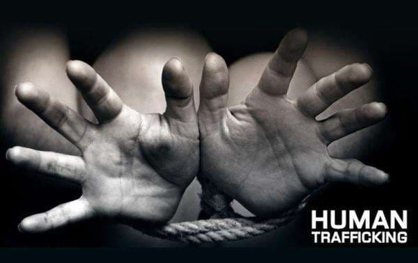 Wamen Dzulfikar Ungkap Peran Strategis Polisi di KP2MI Berantas TPPO