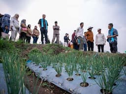 Dukung Ketahanan Pangan Indonesia, IsDB dan IFAD Kembangan Pertanian Dataran Tinggi