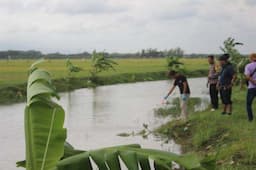 Tenggelam di Sungai Seorang Penebas Padi di Brati Grobogan Meninggal Dunia