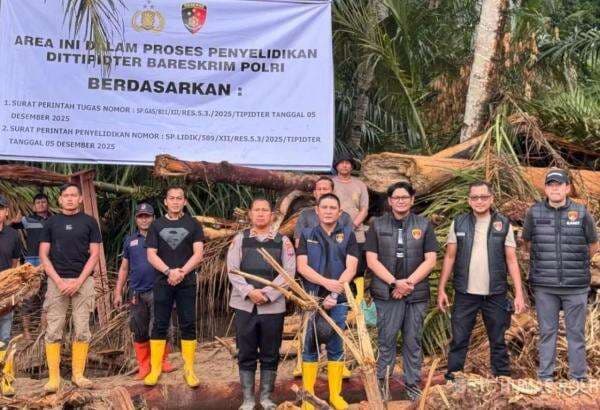 Bareskrim Selidiki Asal Usul Kayu Gelondongan di DAS Garoga Taput, Ambil 27 Sampel