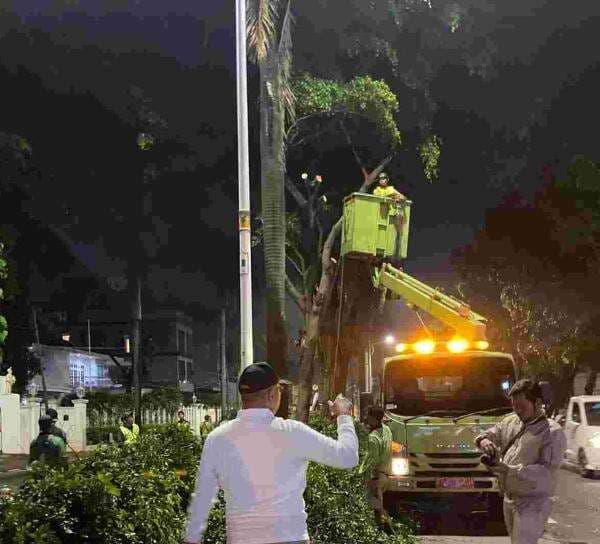 Pemprov DKI Fokus Potong Pohon Besar di Enam Lokasi Jelang Musim Penghujan Pemprov DKI Fokus Potong Pohon Besar di Enam Lokasi Jelang Musim Penghujan