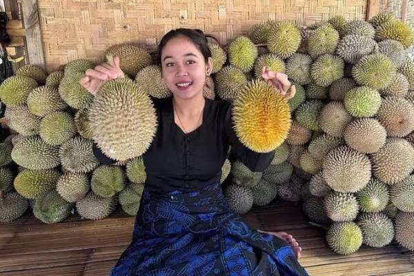 Buruan Icip-icip Durian Matang Pohon di Baduy Lebak, Murah Baget Lagi Panen Raya