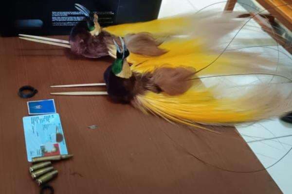 Satgas Korpasgat Gagalkan Penyelundupan Amunisi dan Cenderawasih Diawetkan di Bandara Wamena