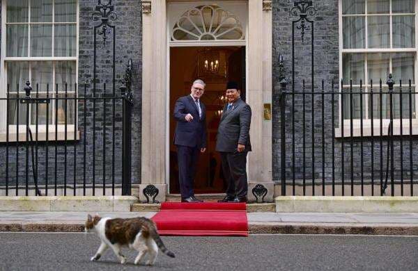 Larry The Cat Ikut Sambut Kunjungan Prabowo di Downing Street
