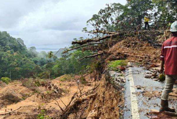 12 Perusahaan di Balik Rusaknya Hutan dan Banjir Besar di Sumatera
