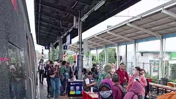 Pohon Tumbang di Rel Kereta, 4 Perjalanan KRL Tanjung Priok Dibatalkan