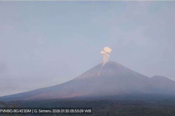 Gunung Semeru Erupsi, Kolom Abu Terpantau Setinggi 1.000 Meter