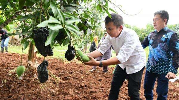 Pj Gubernur Jabar Bey Machmudin Soroti Pentingnya Penataan Ruang untuk Keseimbangan Ekosistem