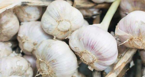 H-3 Lebaran, Harga Bawang Putih di Pasar Induk Kramat Jati Dijual Rp32.000 - Rp40.000 per Kg H-3 Lebaran, Harga Bawang Putih di Pasar Induk Kramat Jati Dijual Rp32.000 - Rp40.000 per Kg